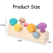 Toddler Wooden Shape Sensory Toy